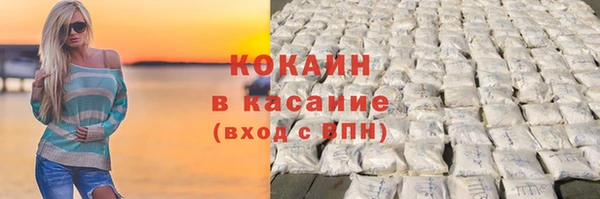 стафф Гусев