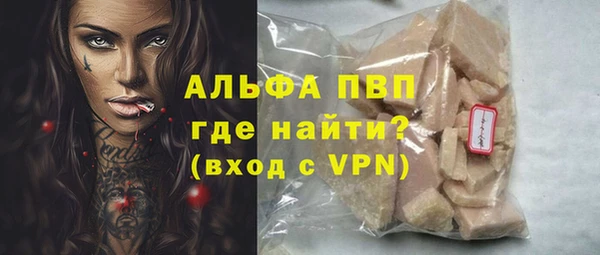 сатива Гусь-Хрустальный