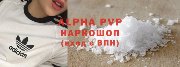 стафф Гусев