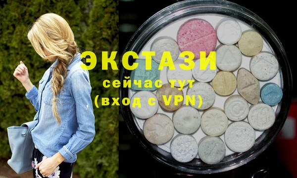 стафф Гусев
