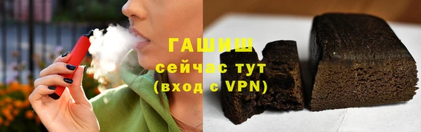 стафф Гусев