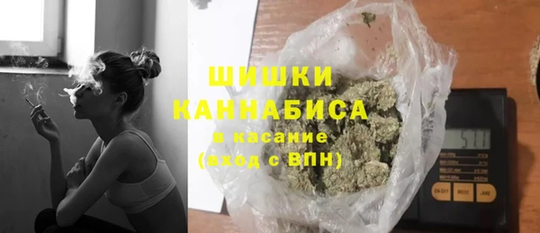 стафф Гусев