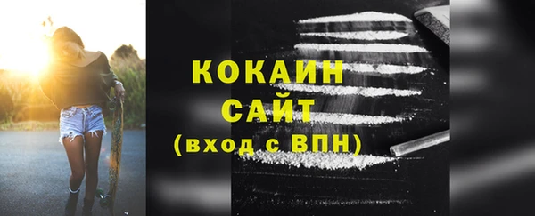 сатива Гусь-Хрустальный