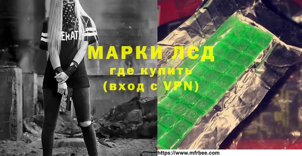 стафф Гусев