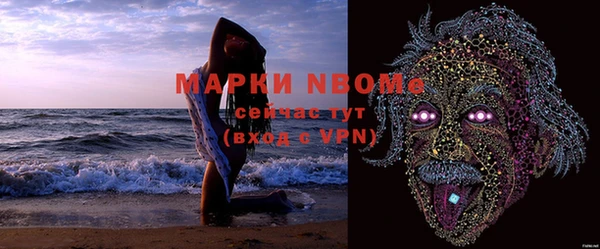 сатива Гусь-Хрустальный