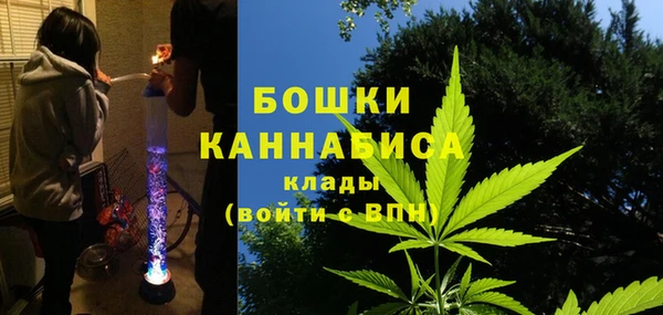сатива Гусь-Хрустальный