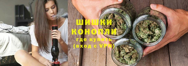стафф Гусев