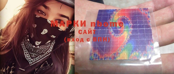 стафф Гусев