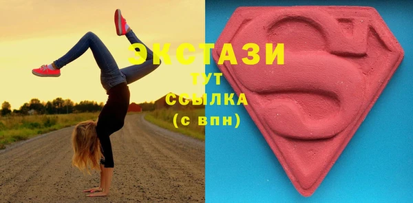 стафф Гусев