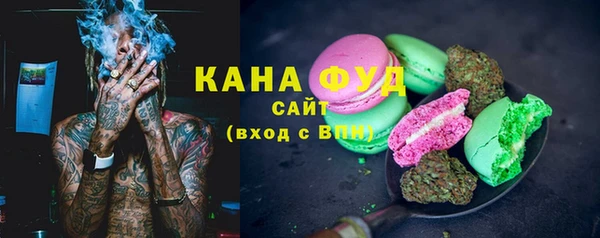 стафф Гусев